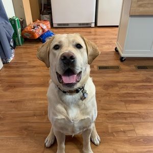 Meet your Posher, Crustal